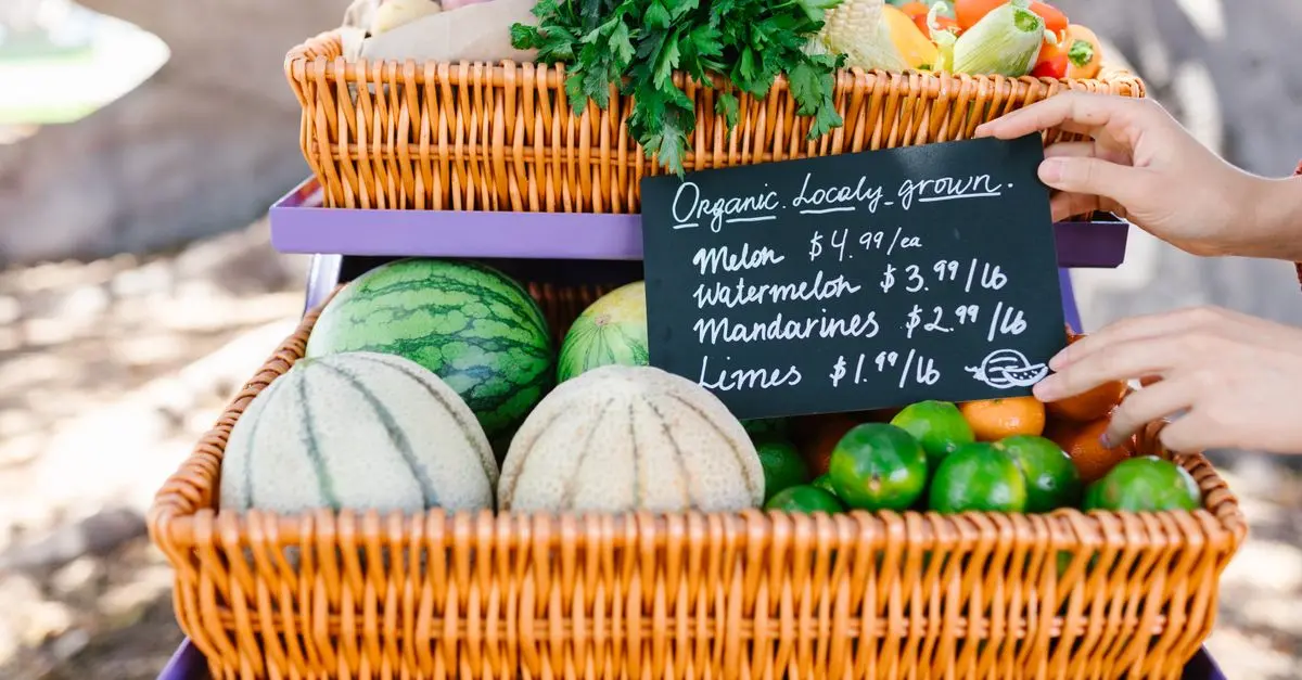 Cómo Sacar Provecho de los Descuentos en Compras de Productos Ecológicos